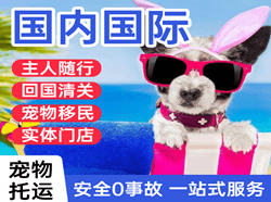 静巴音布鲁克机场空运国际宠物托运 【国